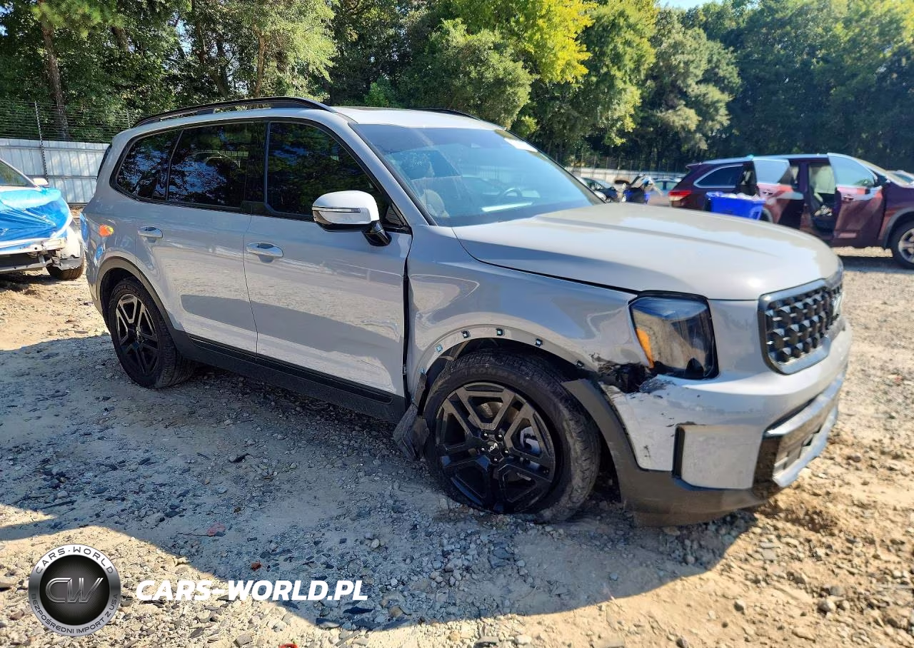 2024 Kia Telluride Sx X-Line VIN:5XYP5DGCXRG519331 - 4