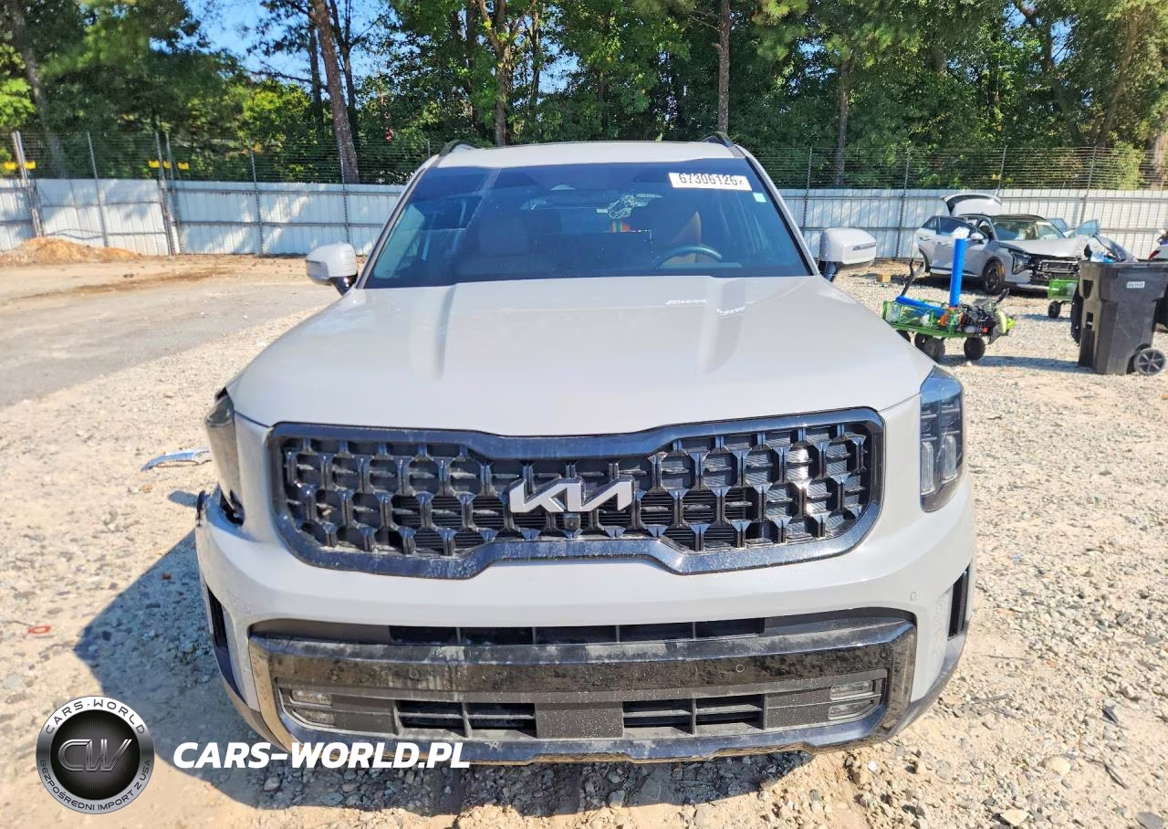 2024 Kia Telluride Sx X-Line VIN:5XYP5DGCXRG519331 - 5