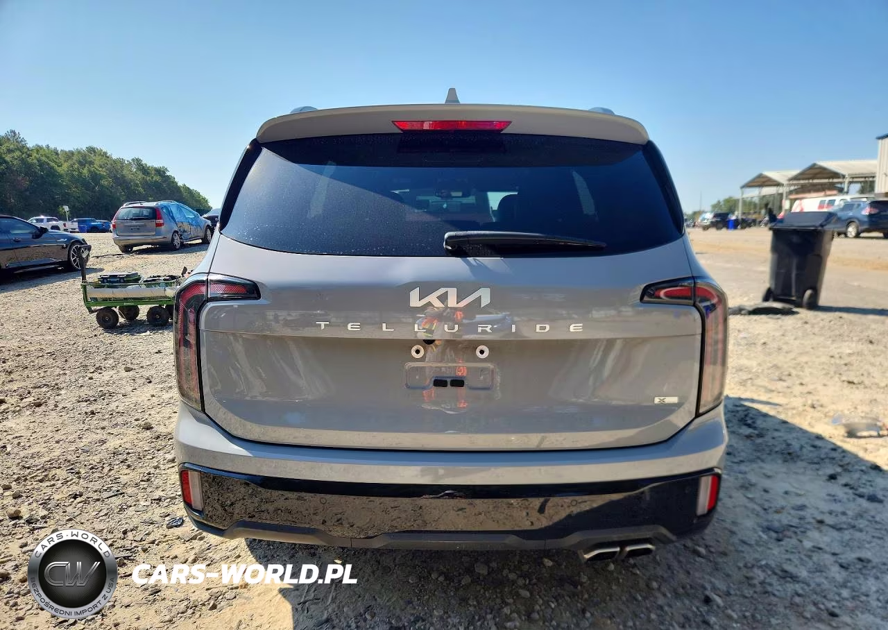 2024 Kia Telluride Sx X-Line VIN:5XYP5DGCXRG519331 - 6