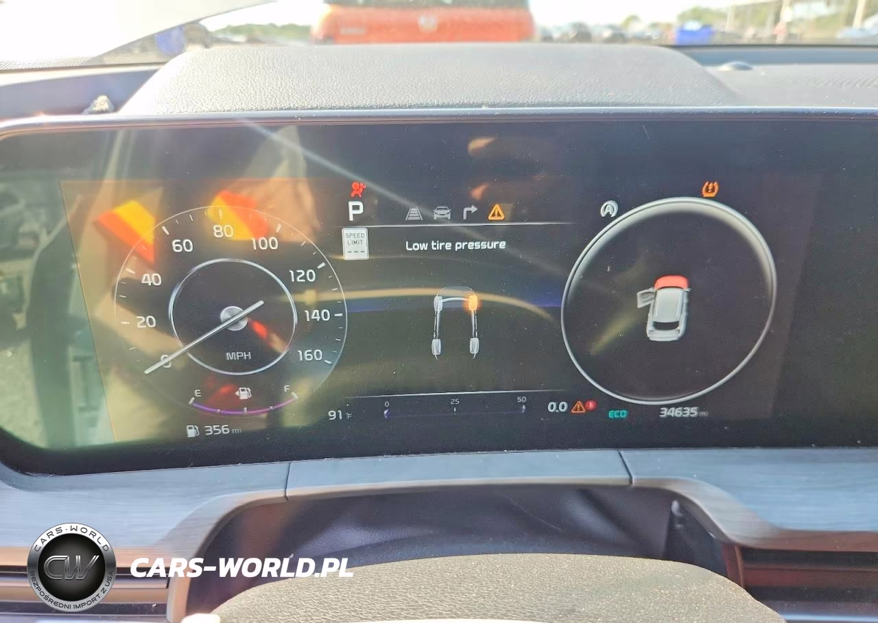 2024 Kia Telluride Sx X-Line VIN:5XYP5DGCXRG519331 - 9