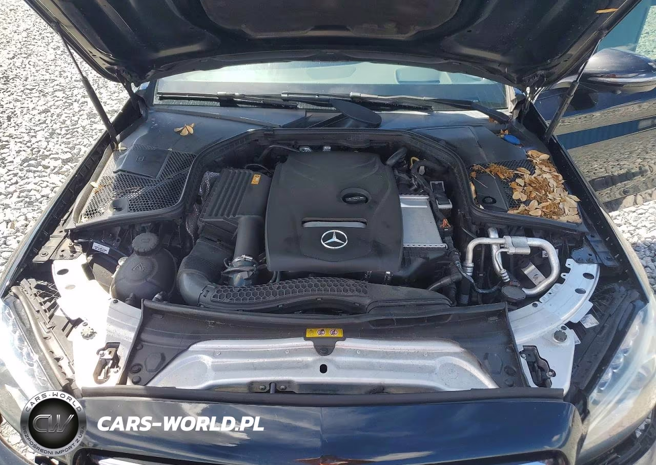 2018 Mercedes-Benz C 300 VIN:55SWF4JBXJU241498 - 11