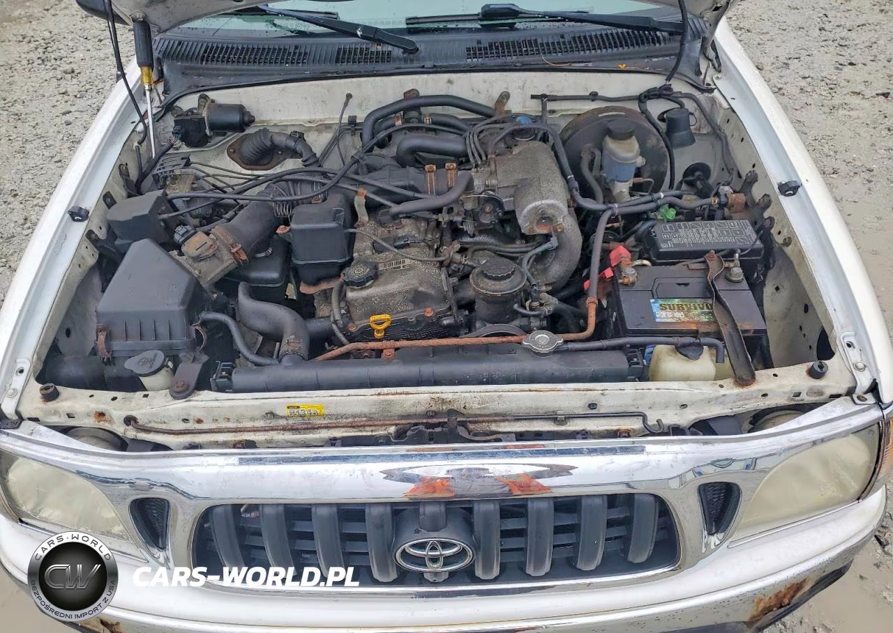 2004 Toyota Tacoma Base VIN:5TEWM72N34Z455219 - 11