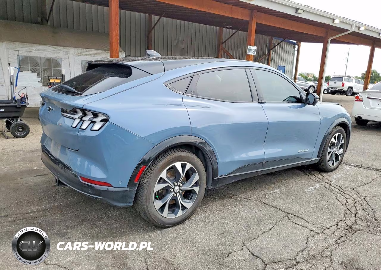 2023 Ford Mustang Mach-E Premium VIN:3FMTK3SU9PMA33560 - 3