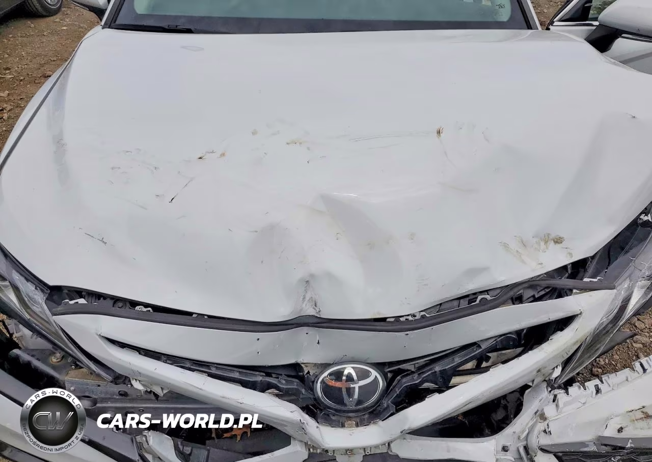 2022 Toyota Camry Xse VIN:4T1K61BK6NU057231 - 11