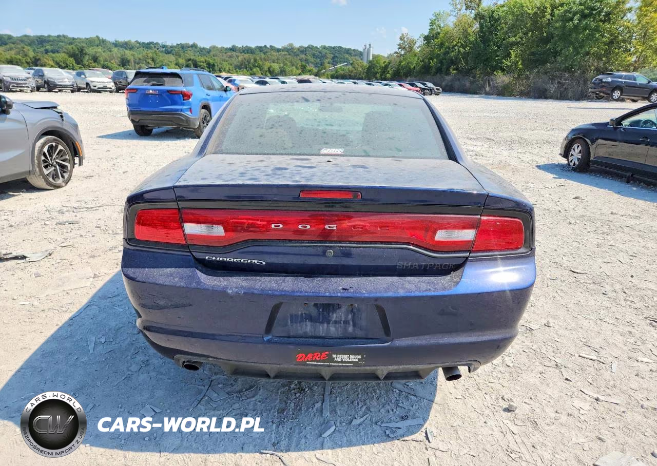 2014 Dodge Charger Police VIN:2C3CDXAT8EH343746 - 6