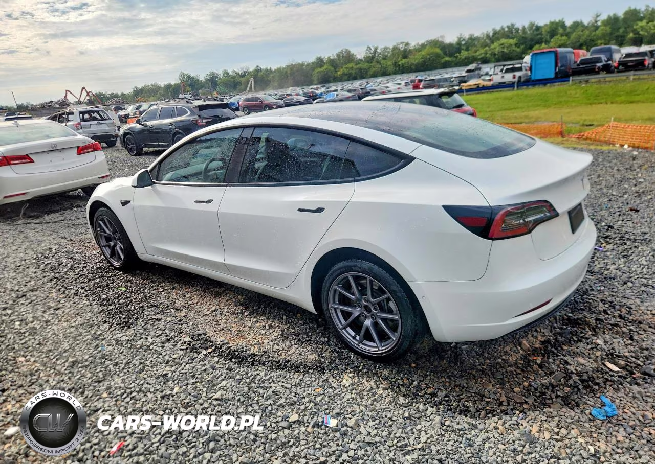 2022 Tesla Model 3 VIN:5YJ3E1EB6NF207192 - 2