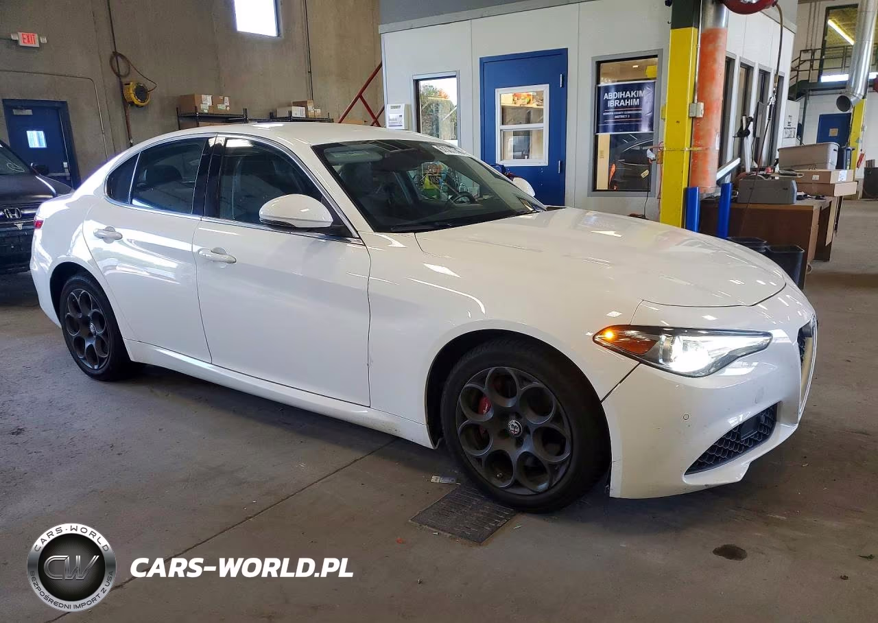 2017 Alfa Romeo Giulia Q4 VIN:ZARFAEDN0H7547482 - 4