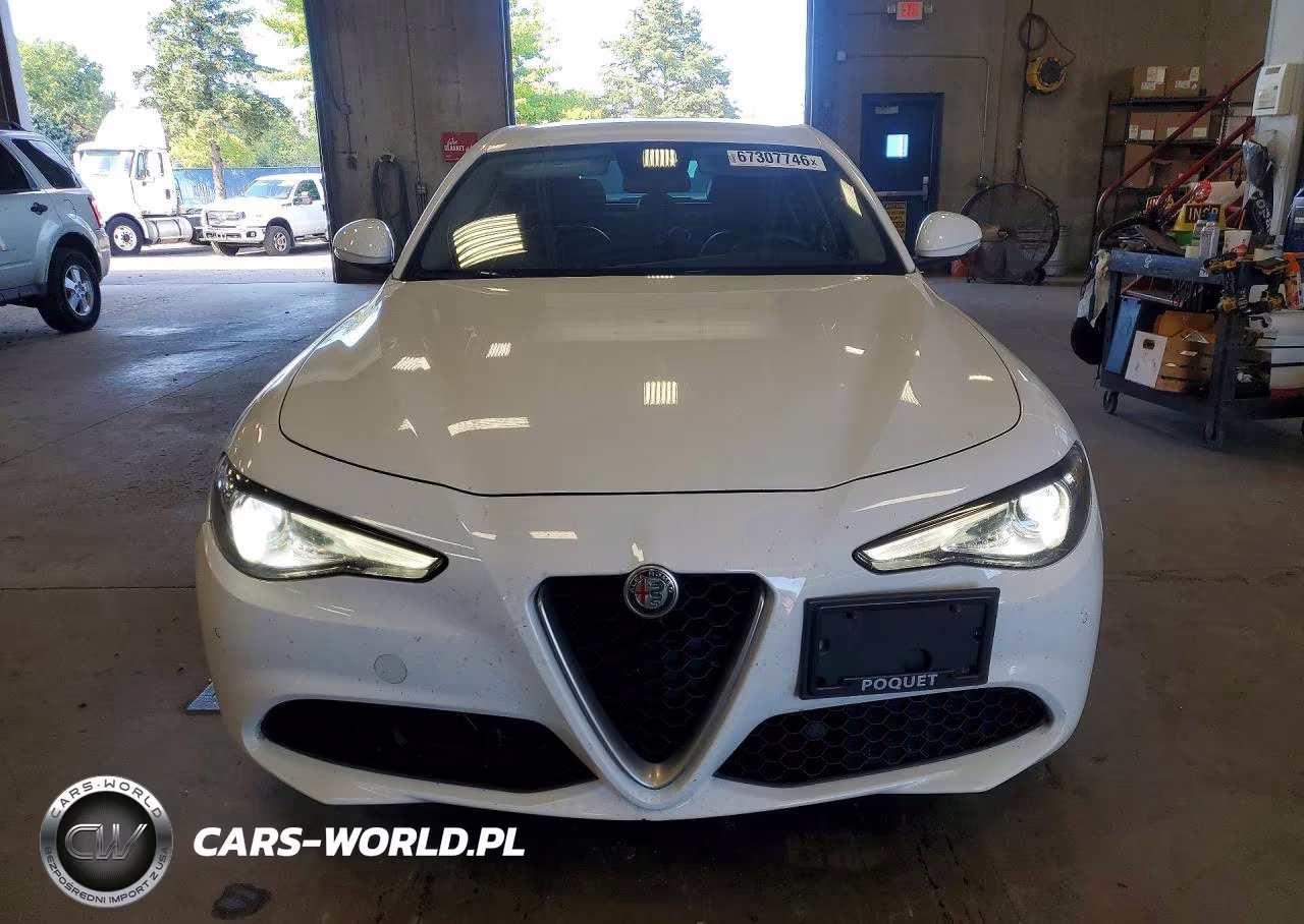 2017 Alfa Romeo Giulia Q4 VIN:ZARFAEDN0H7547482 - 5