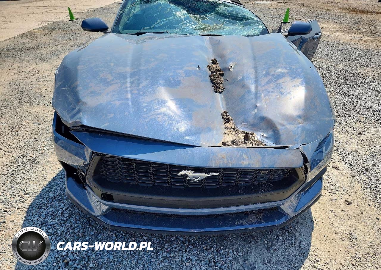 2025 Ford Mustang VIN:1FAGP8UHXS5113474 - 11
