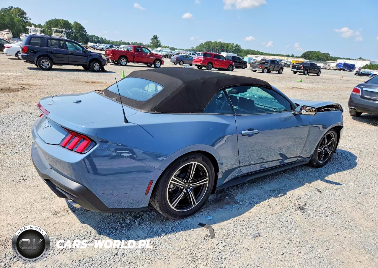 2025 Ford Mustang VIN:1FAGP8UHXS5113474 - 3