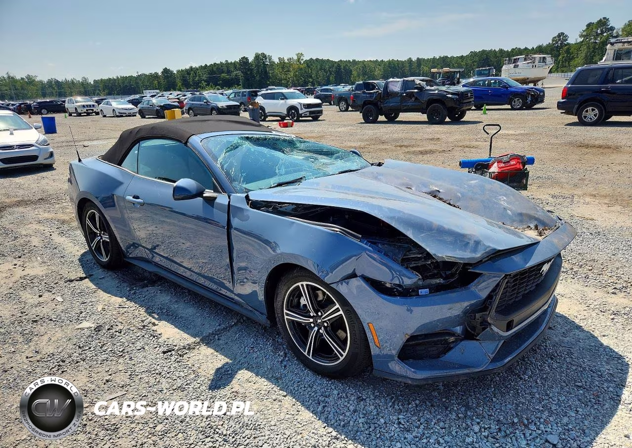 2025 Ford Mustang VIN:1FAGP8UHXS5113474 - 4