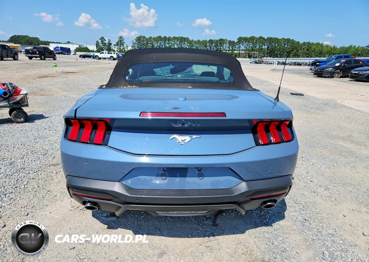 2025 Ford Mustang VIN:1FAGP8UHXS5113474 - 6