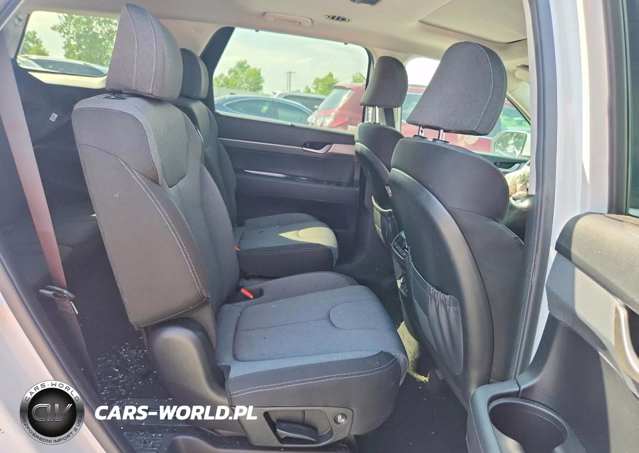 2020 Hyundai Palisade Sel VIN:KM8R3DHE6LU085716 - 11