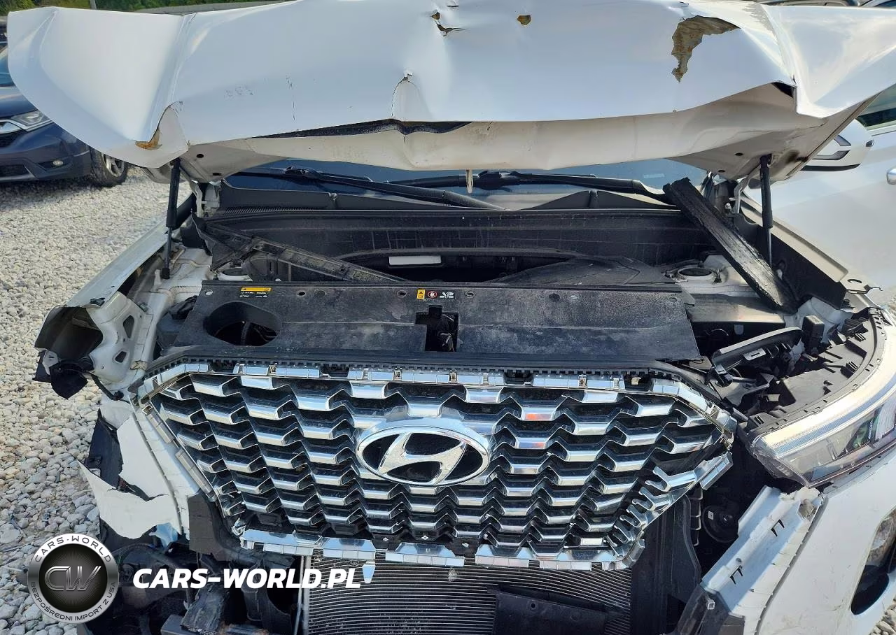 2020 Hyundai Palisade Sel VIN:KM8R3DHE6LU085716 - 12