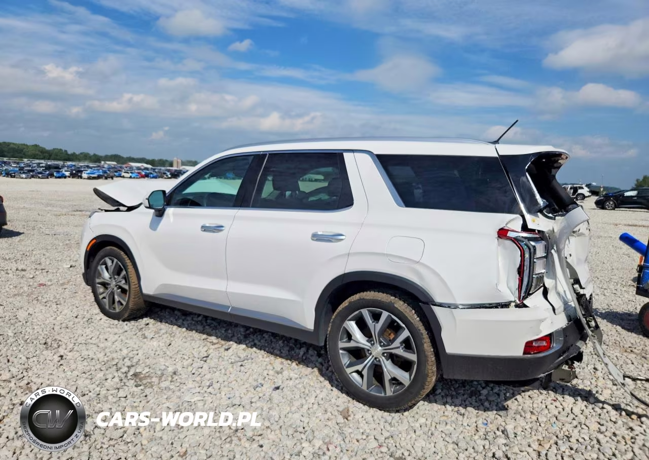 2020 Hyundai Palisade Sel VIN:KM8R3DHE6LU085716 - 2