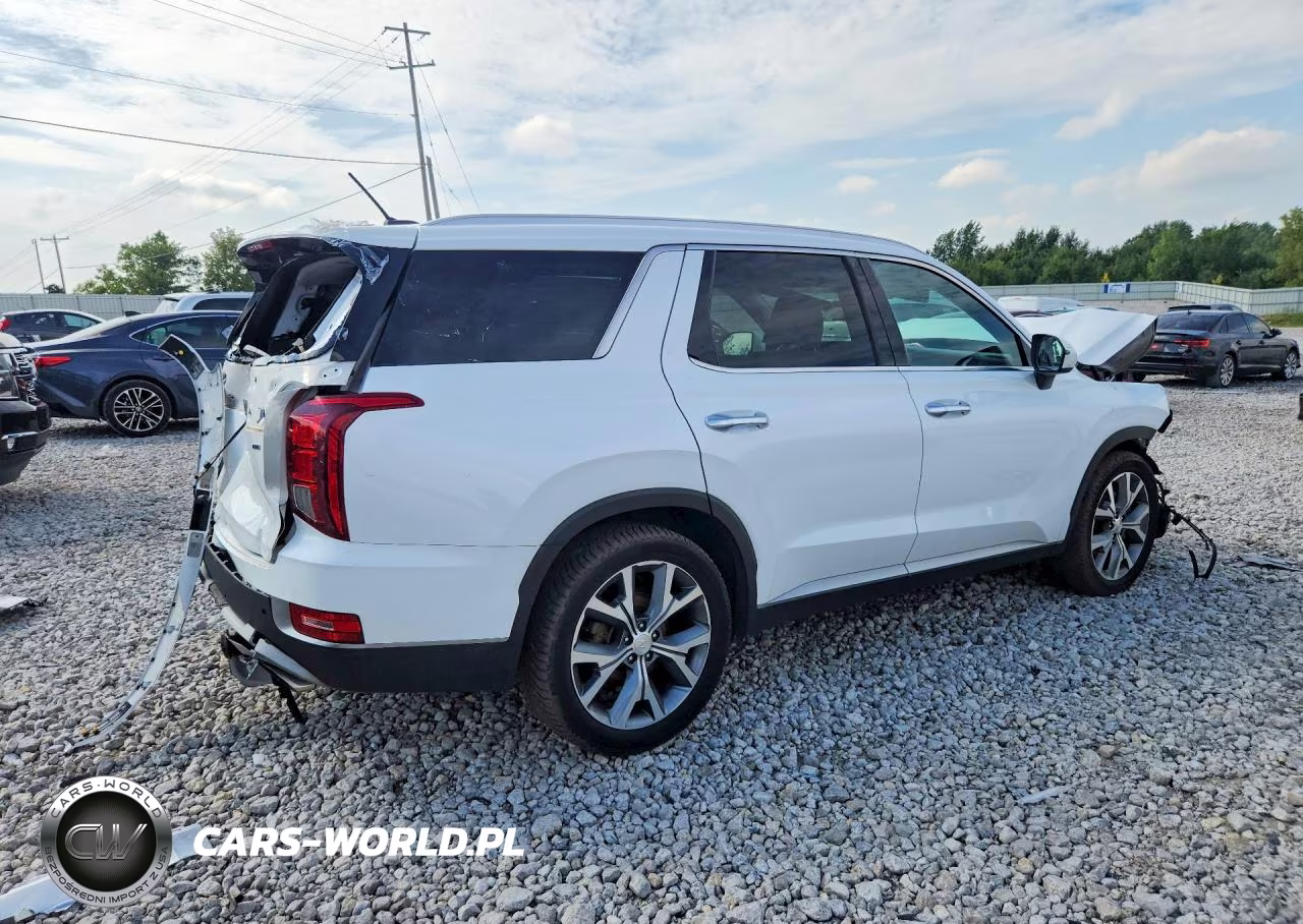 2020 Hyundai Palisade Sel VIN:KM8R3DHE6LU085716 - 3