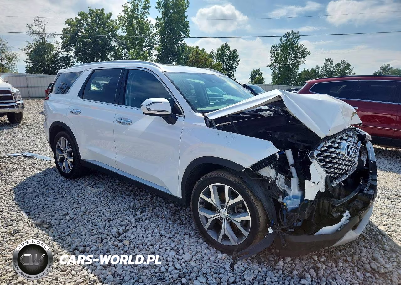 2020 Hyundai Palisade Sel VIN:KM8R3DHE6LU085716 - 4