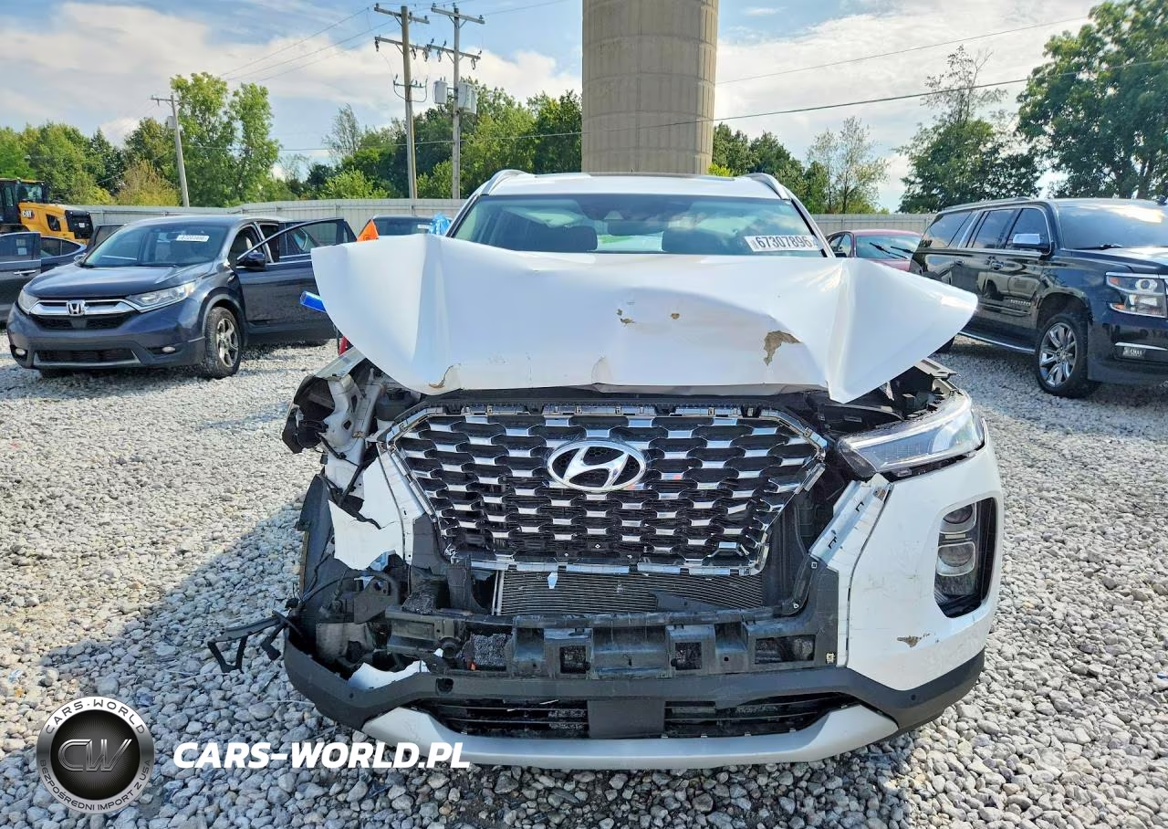 2020 Hyundai Palisade Sel VIN:KM8R3DHE6LU085716 - 5