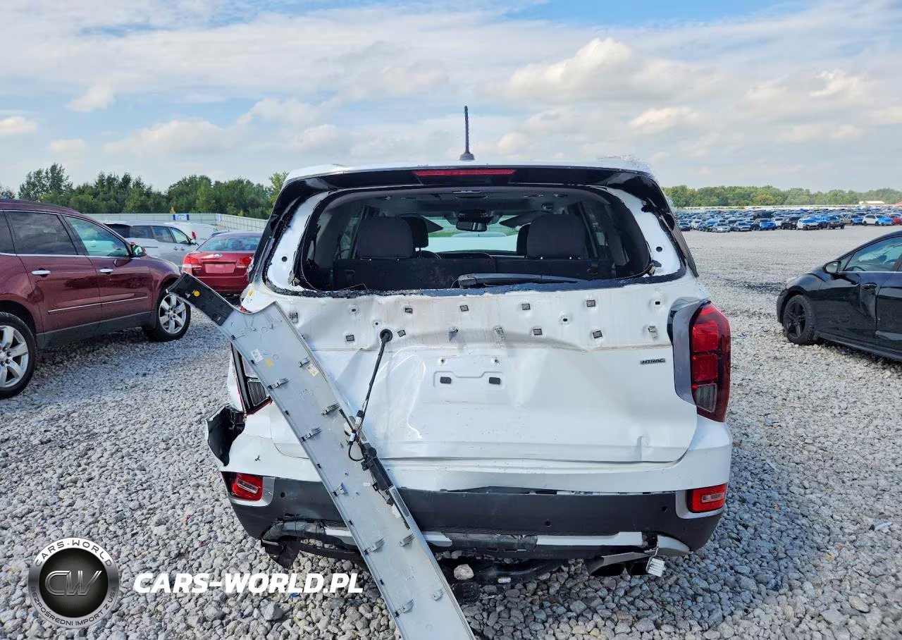 2020 Hyundai Palisade Sel VIN:KM8R3DHE6LU085716 - 6