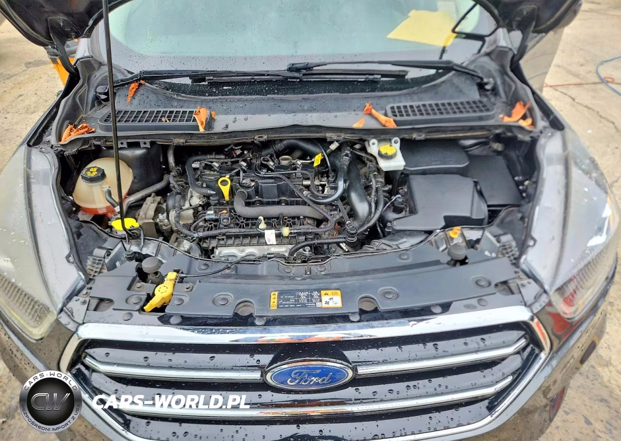 2019 Ford Escape Se VIN:1FMCU0GD7KUB09377 - 11