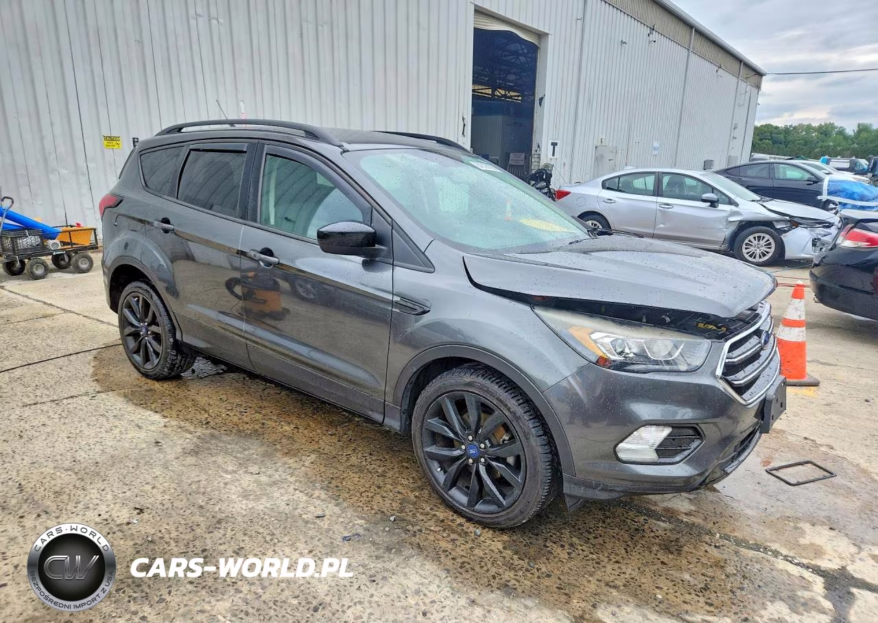 2019 Ford Escape Se VIN:1FMCU0GD7KUB09377 - 4