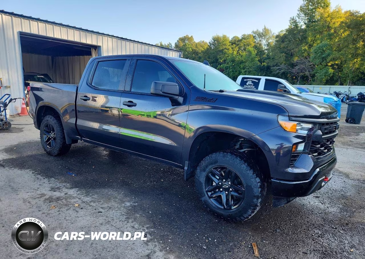 2023 Chevrolet Silverado K1500 Trail Boss Custom VIN:3GCUDCED1PG128160 - 4