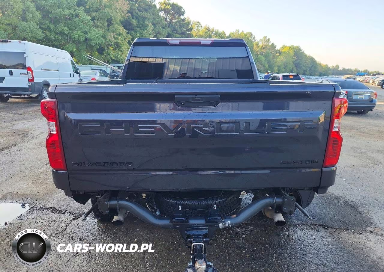 2023 Chevrolet Silverado K1500 Trail Boss Custom VIN:3GCUDCED1PG128160 - 6