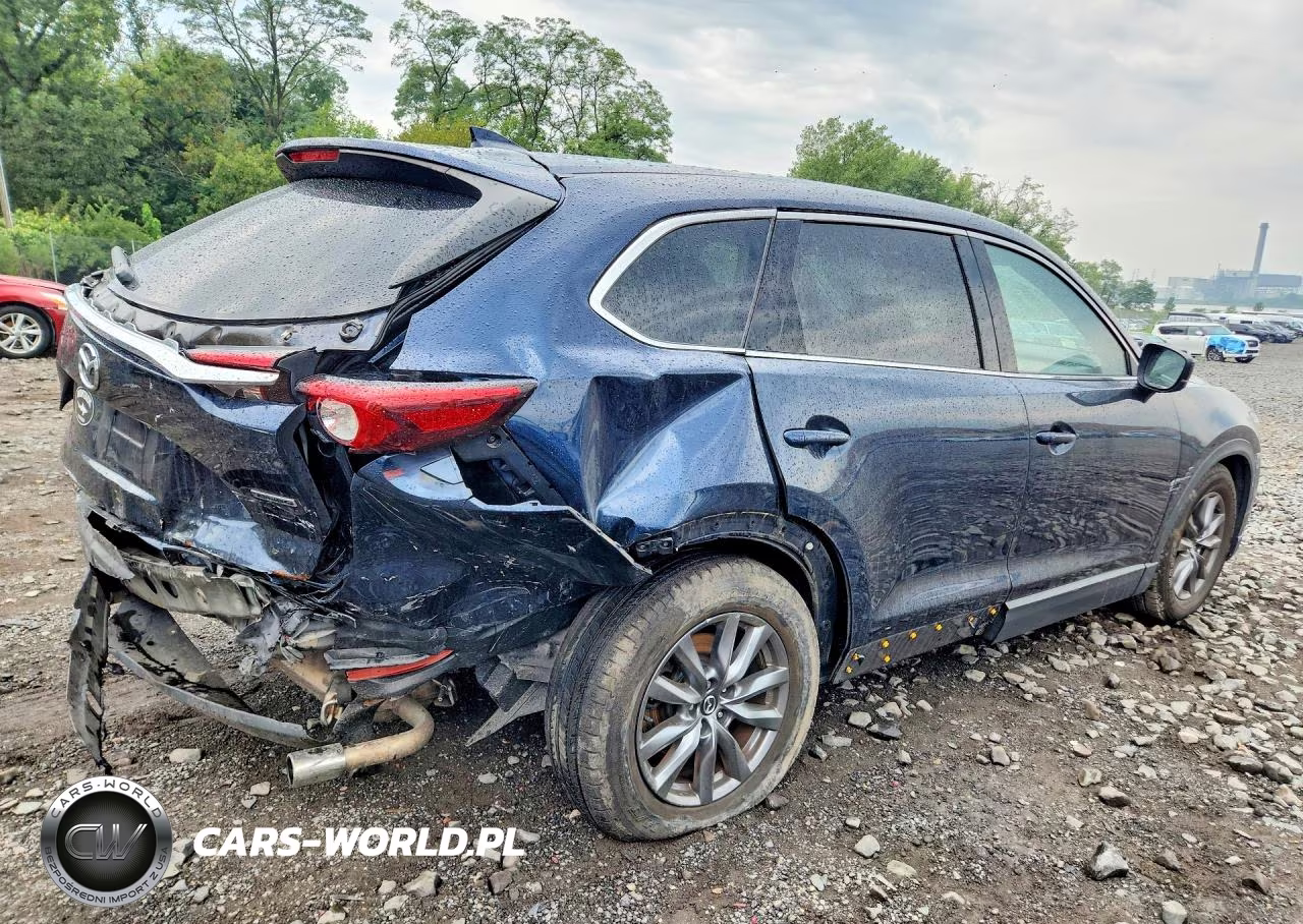 2021 Mazda Cx-9 Touring VIN:JM3TCBCY5M0510942 - 3