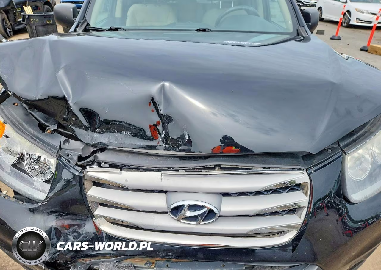 2012 Hyundai Santa Fe Gls VIN:5XYZGDAB1CG139692 - 12
