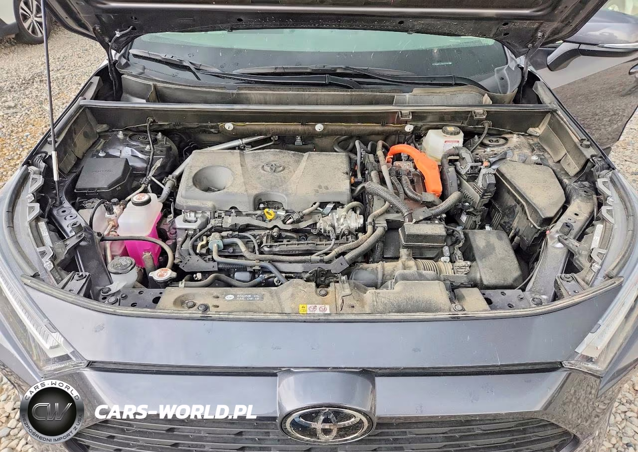 2025 Toyota Rav4 Le VIN:JTMMWRFV1SD300603 - 11