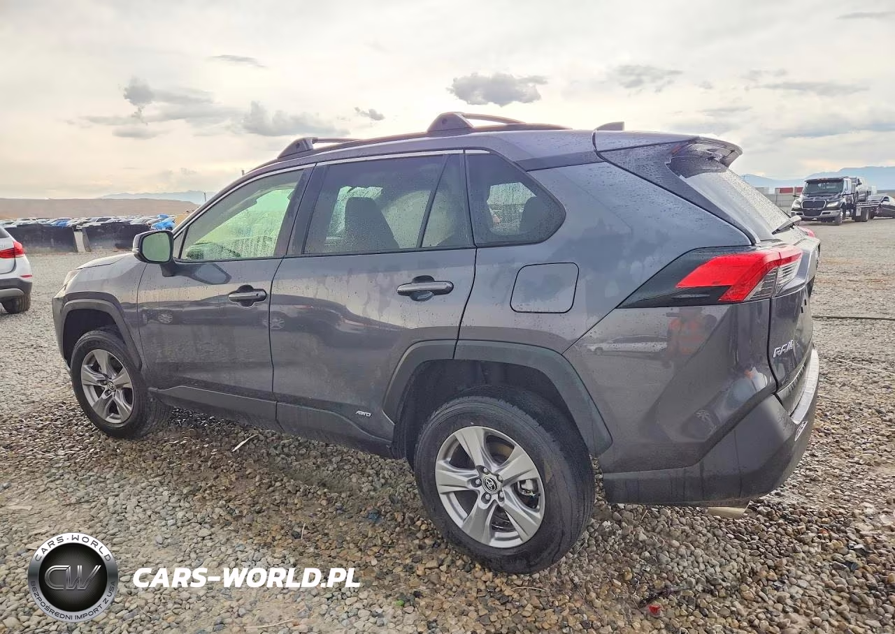 2025 Toyota Rav4 Le VIN:JTMMWRFV1SD300603 - 2