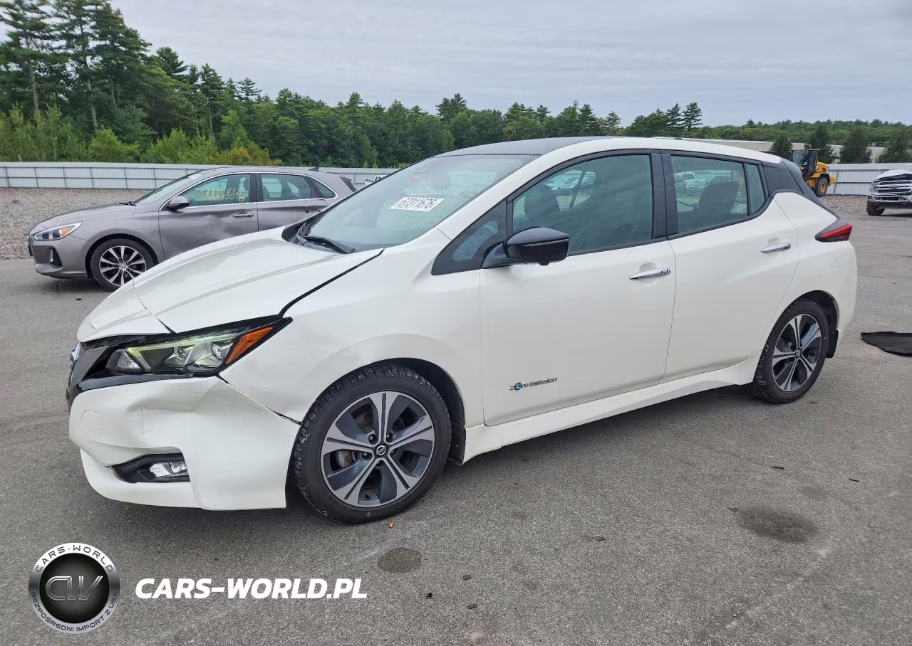 2018 Nissan Leaf Sl VIN:1N4AZ1CP1JC304355 - 1
