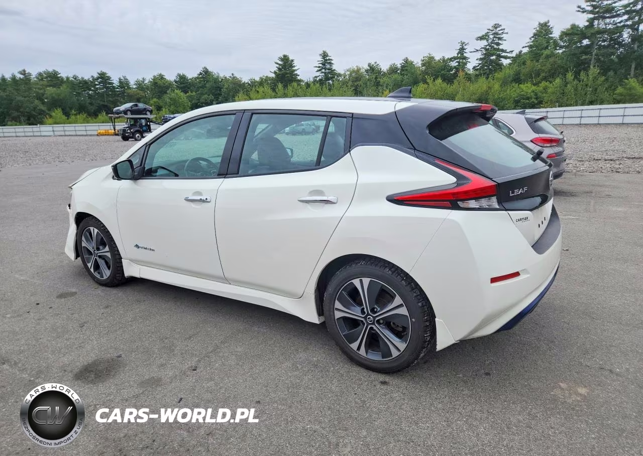 2018 Nissan Leaf Sl VIN:1N4AZ1CP1JC304355 - 2