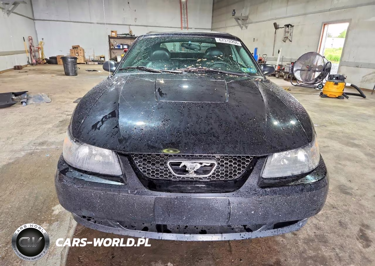 2003 Ford Mustang VIN:1FAFP44433F440263 - 5