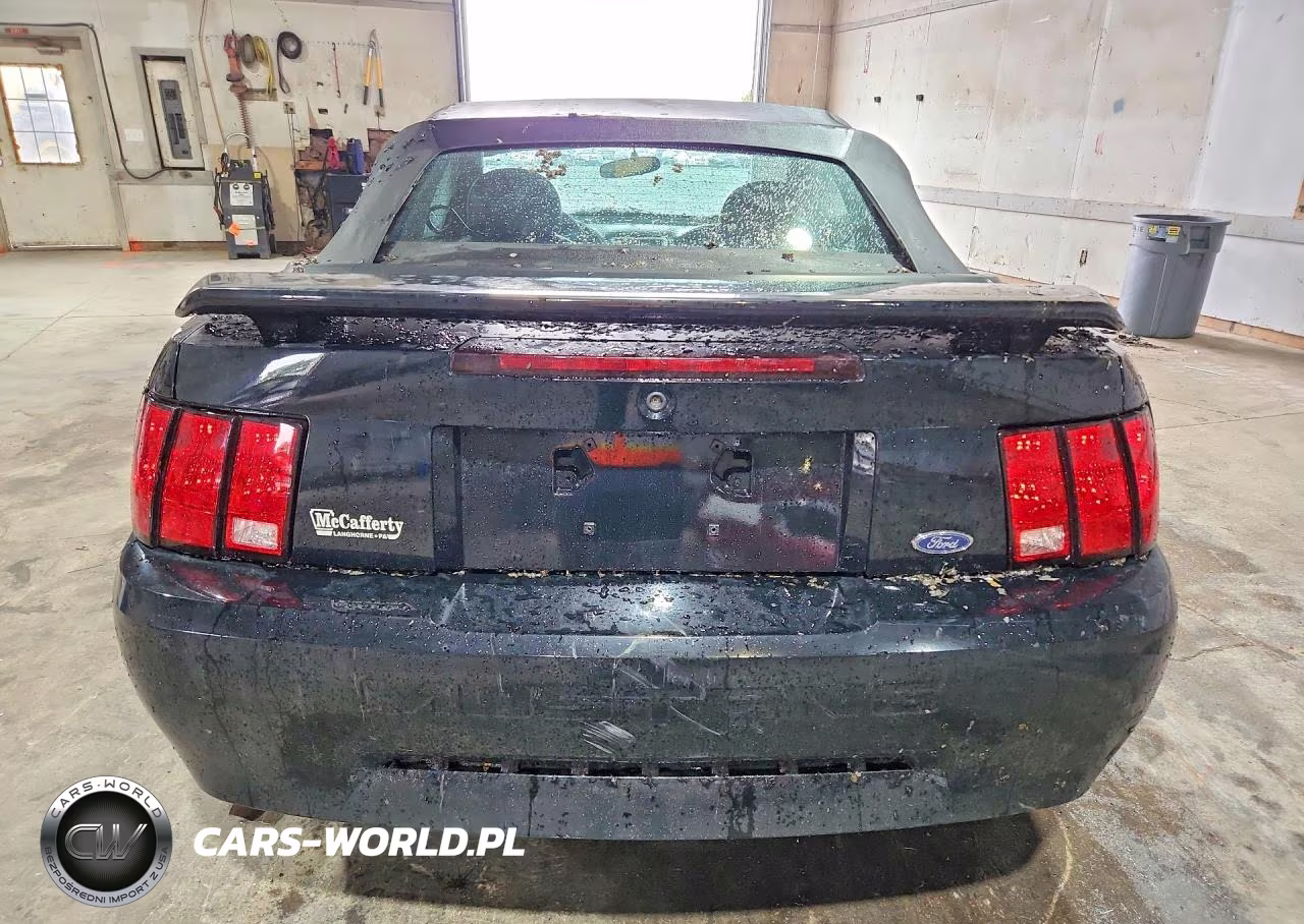 2003 Ford Mustang VIN:1FAFP44433F440263 - 6