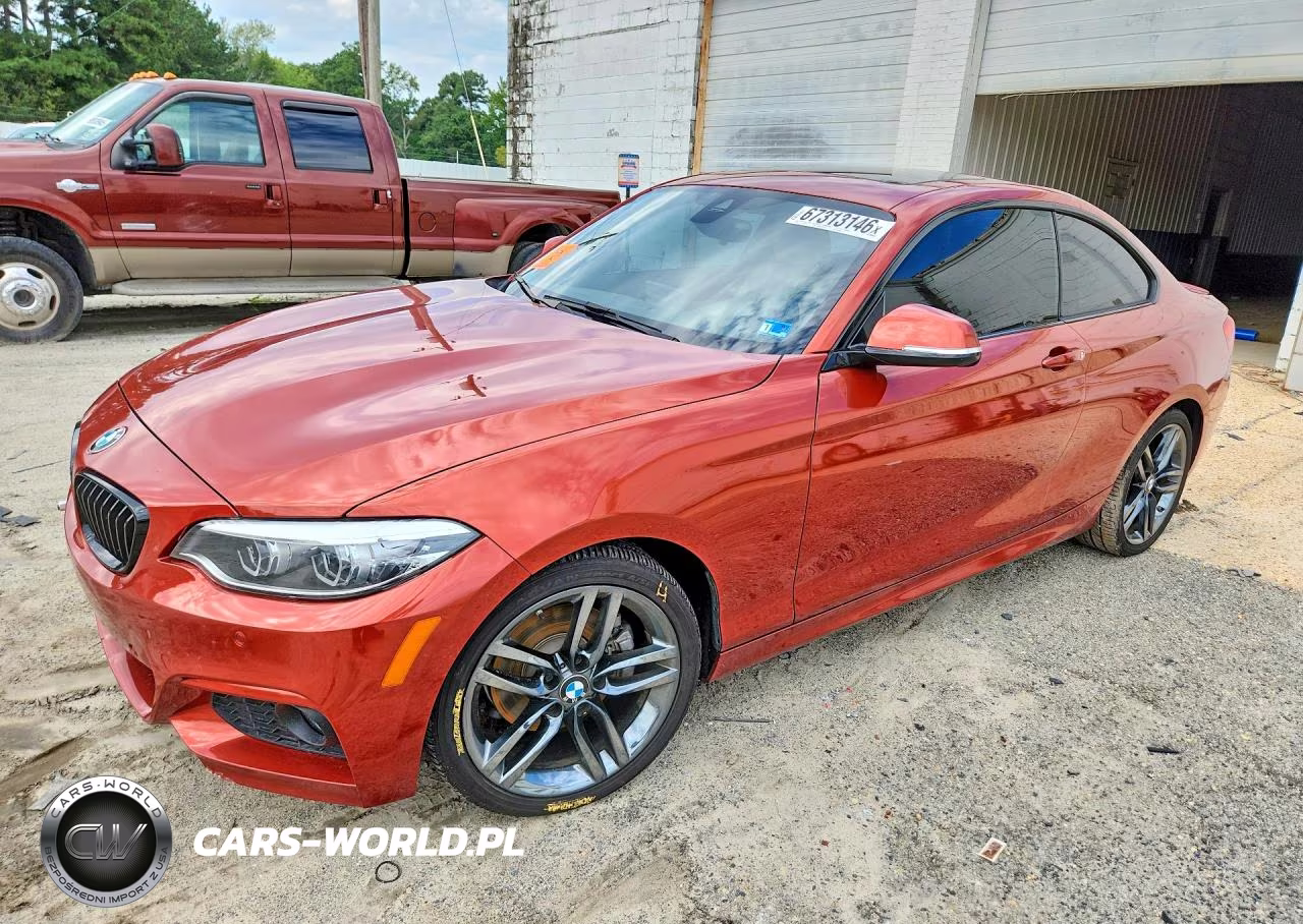 2019 BMW 230Xi VIN:WBA2J3C52KVD49326 - 1