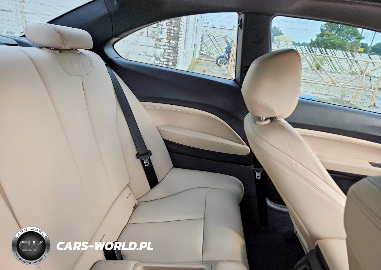 2019 BMW 230Xi VIN:WBA2J3C52KVD49326 - 10