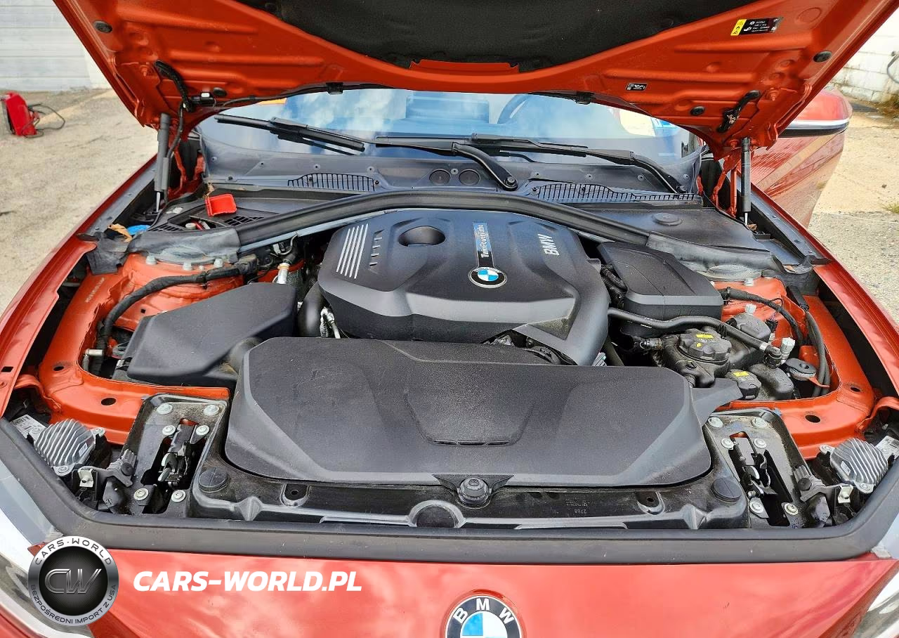 2019 BMW 230Xi VIN:WBA2J3C52KVD49326 - 11