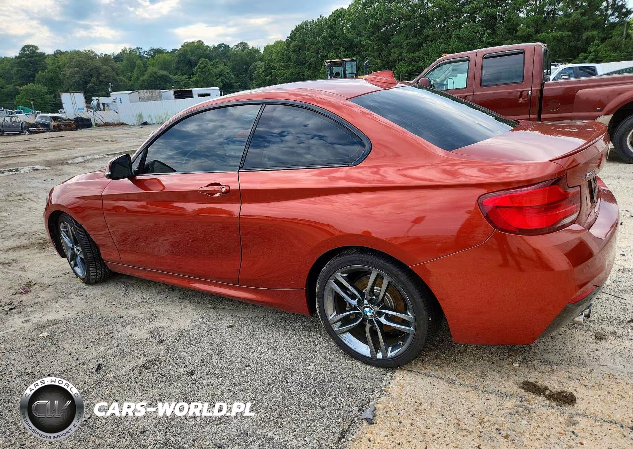 2019 BMW 230Xi VIN:WBA2J3C52KVD49326 - 2
