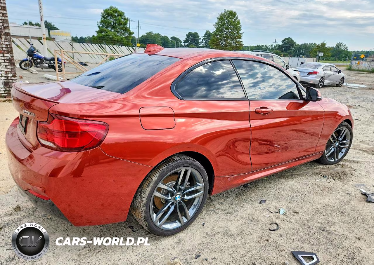 2019 BMW 230Xi VIN:WBA2J3C52KVD49326 - 3