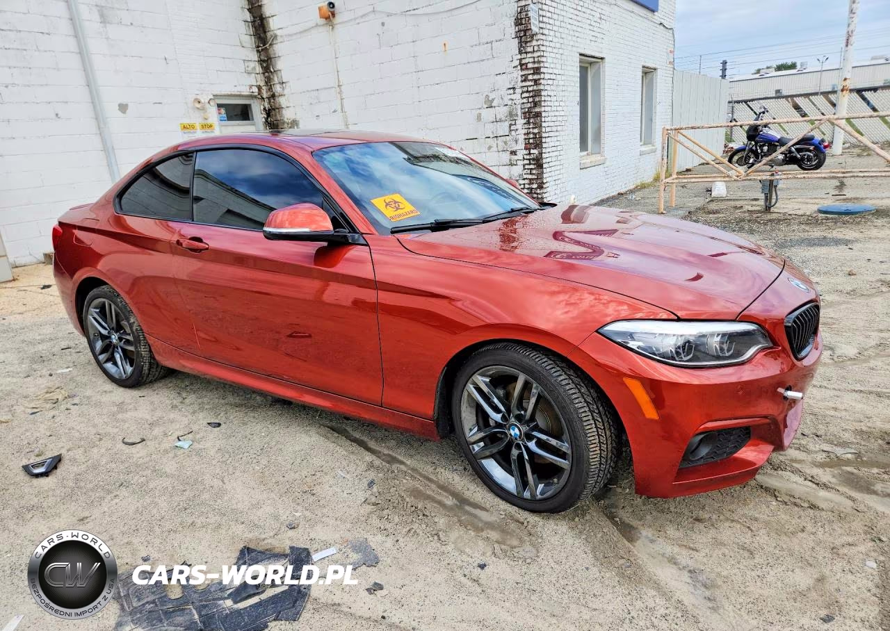 2019 BMW 230Xi VIN:WBA2J3C52KVD49326 - 4