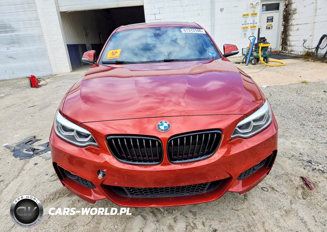 2019 BMW 230Xi VIN:WBA2J3C52KVD49326 - 5