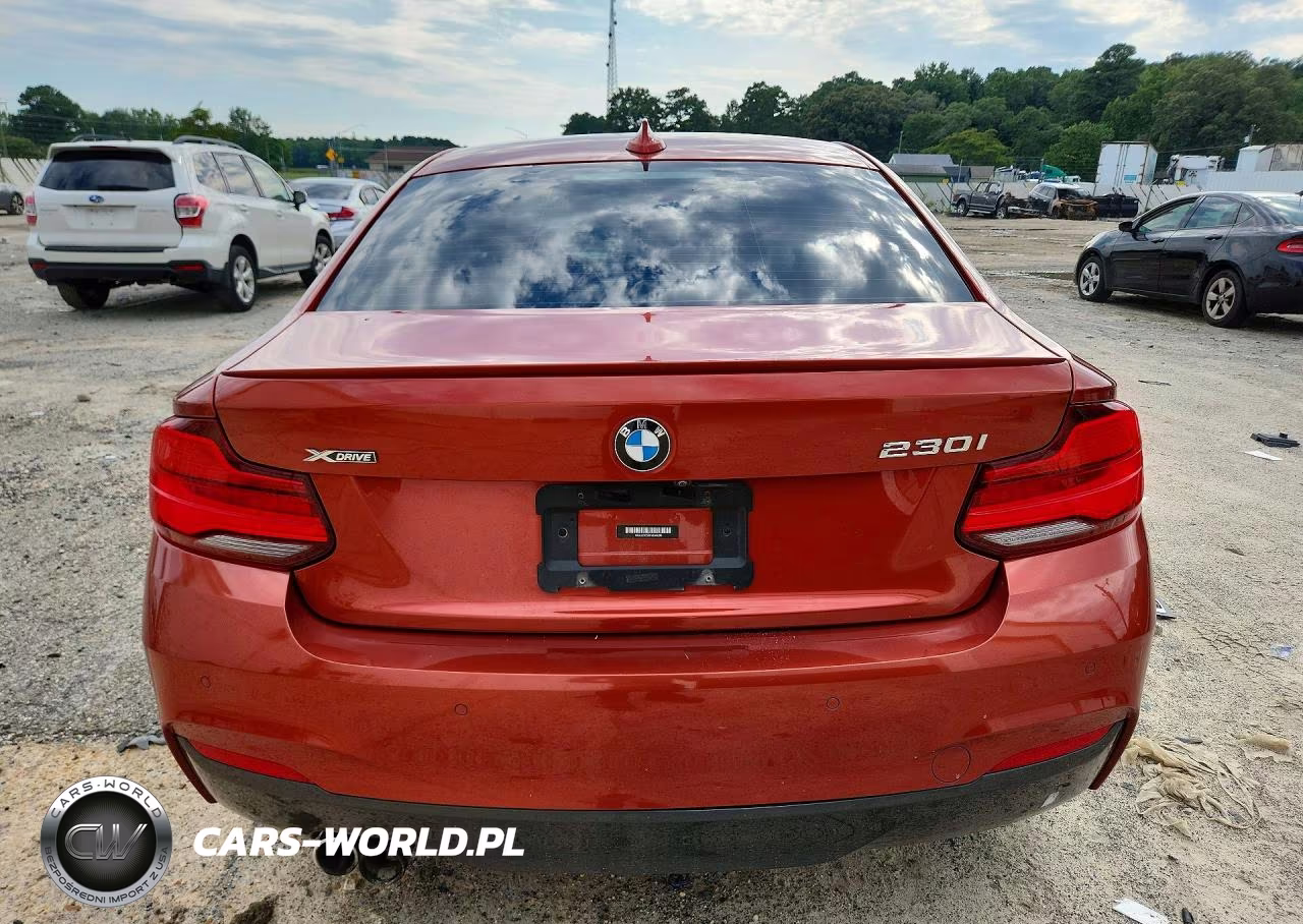 2019 BMW 230Xi VIN:WBA2J3C52KVD49326 - 6