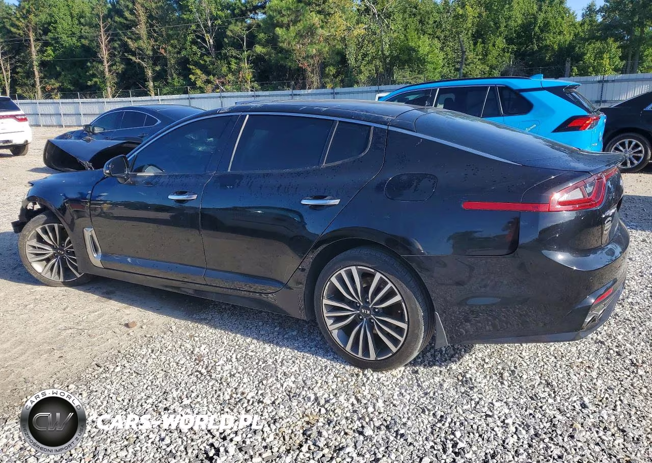 2019 Kia Stinger Base VIN:KNAE15LA3K6043653 - 2