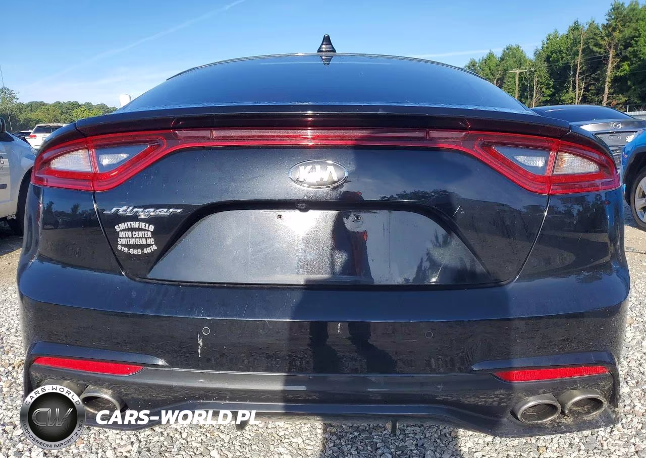 2019 Kia Stinger Base VIN:KNAE15LA3K6043653 - 6