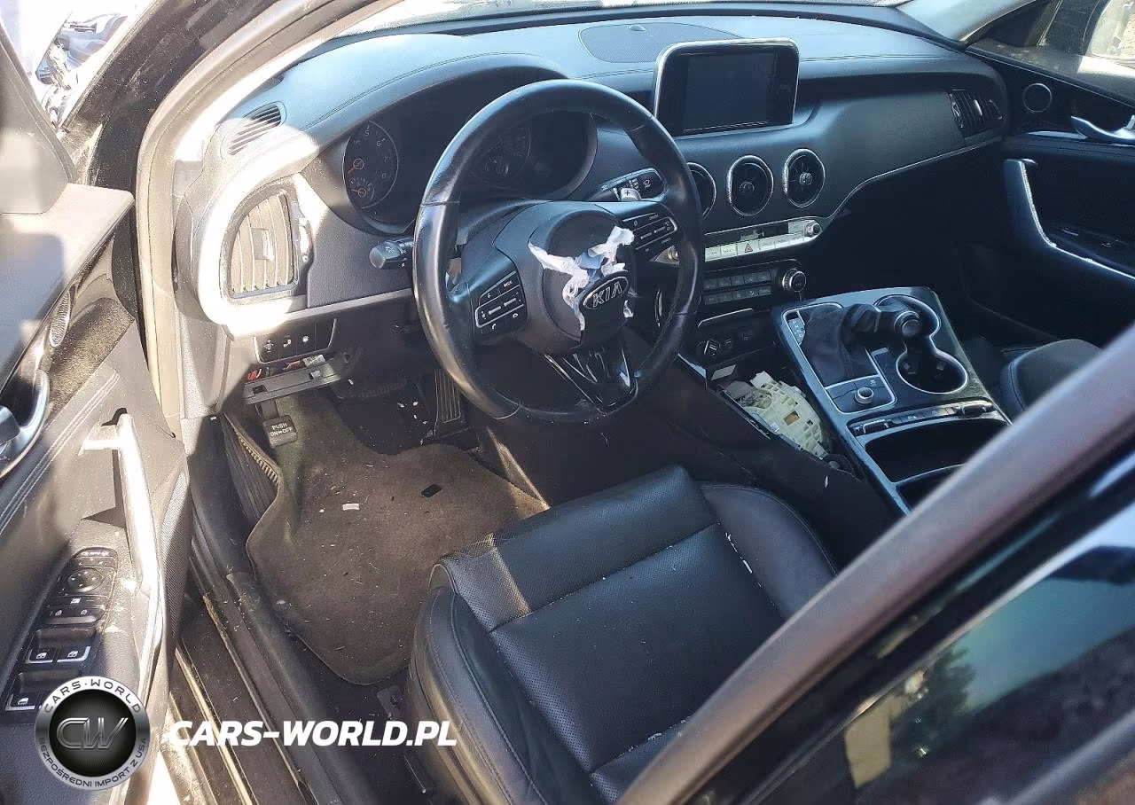 2019 Kia Stinger Base VIN:KNAE15LA3K6043653 - 8