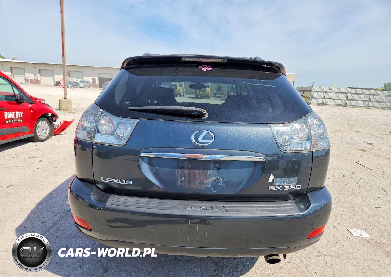 2004 Lexus Rx 330 VIN:JTJHA31U540058496 - 6