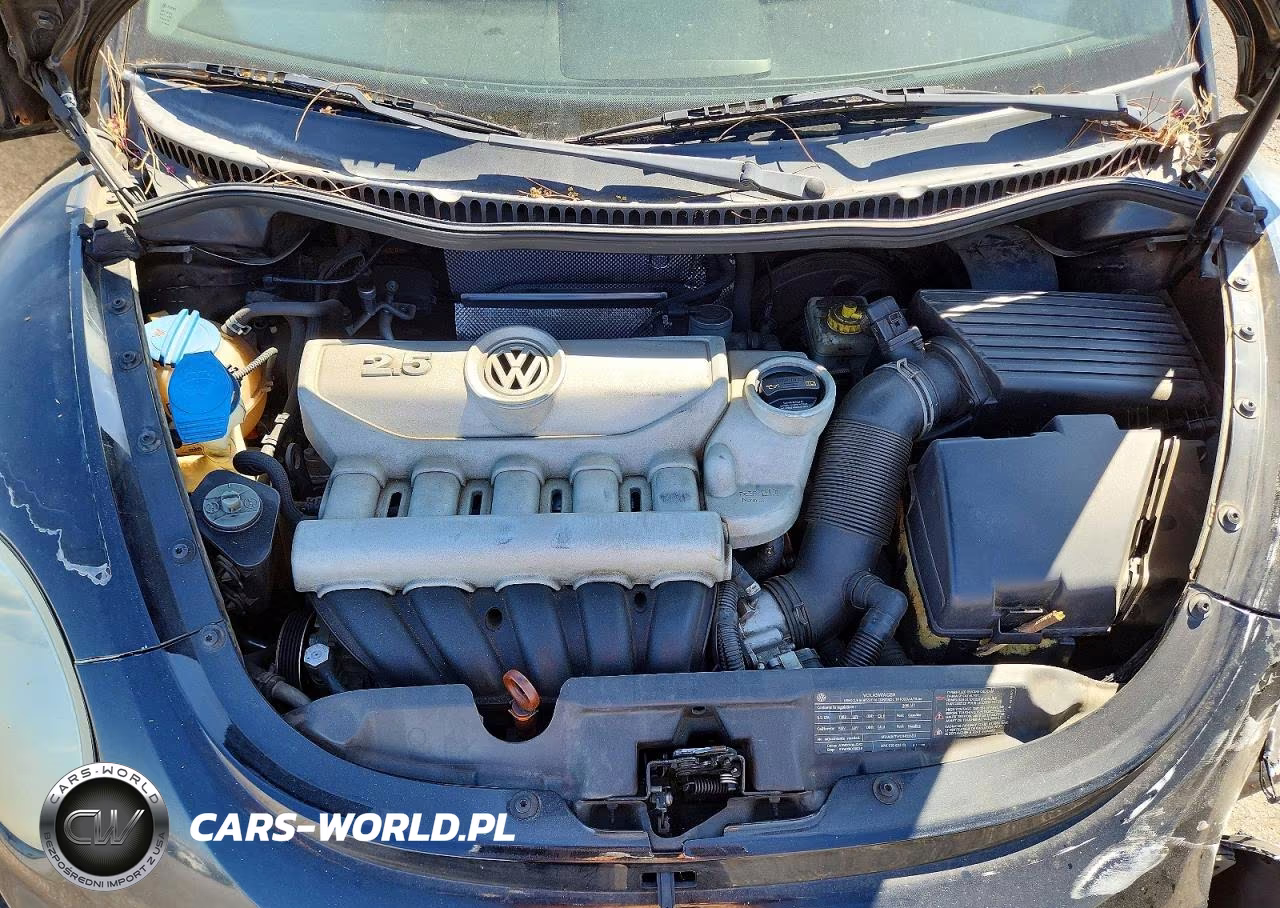 2010 Volkswagen New Beetle VIN:3VWPG3AG6AM009059 - 11