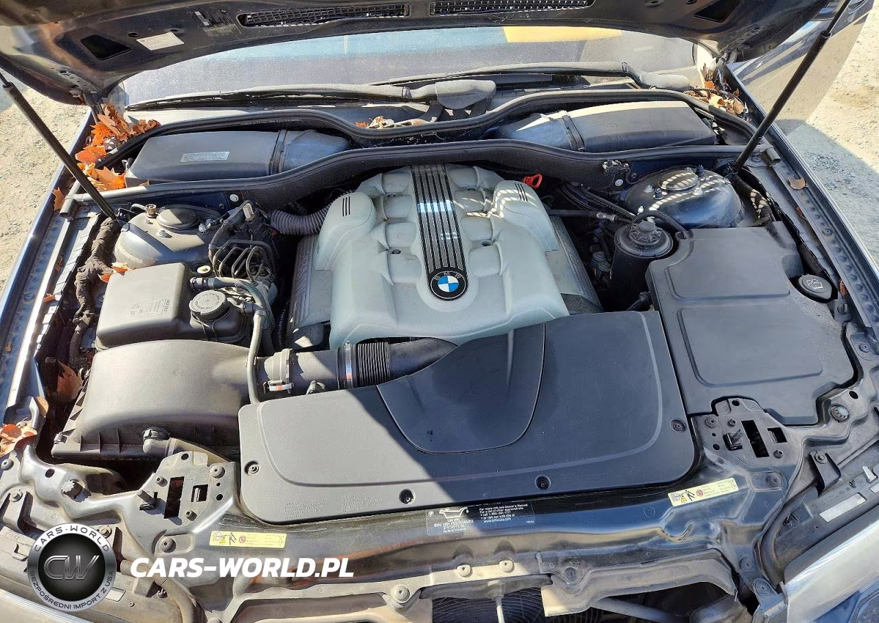 2002 BMW 745 I VIN:WBAGL63402DP50210 - 11