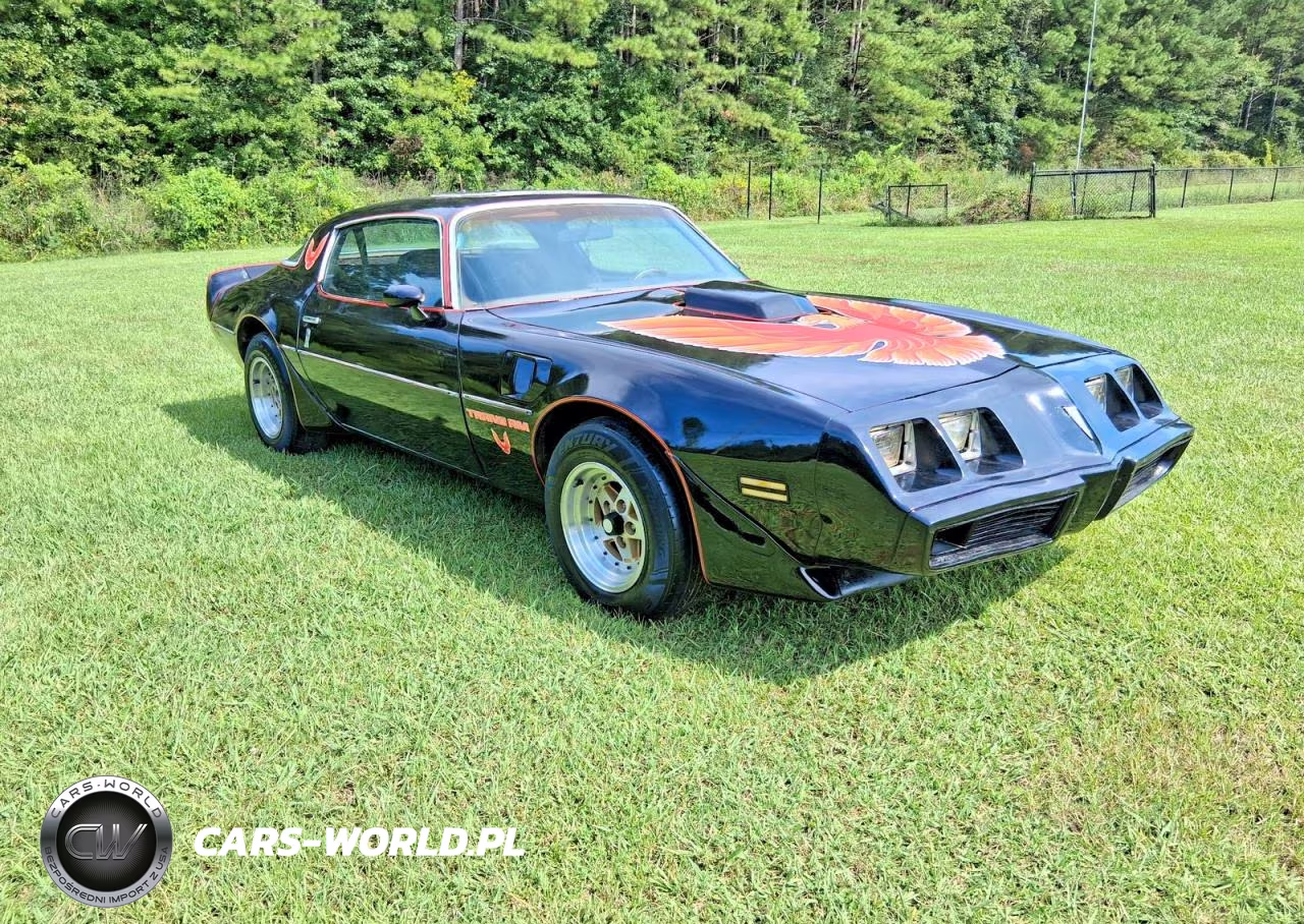 1979 Pontiac Trans Am – zdjęcie 1 z 14